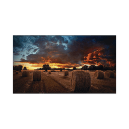 Pantalla Profesional LED de 55" para Video Wall, Full HD (1080p), HDMI/DVI-D/DP, Bisel Ultra Delgado de 2.3mm. Compatible VESA